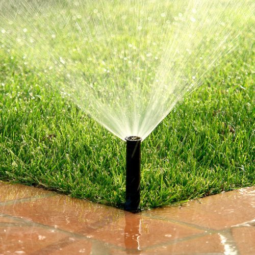 Dịch vụ chăm sóc và bảo dưỡng cảnh quan