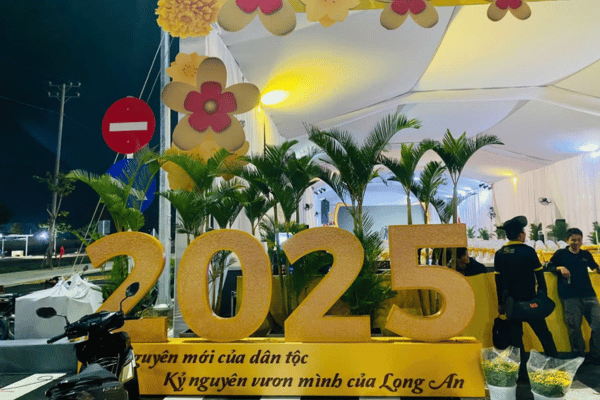 Cây cau vàng