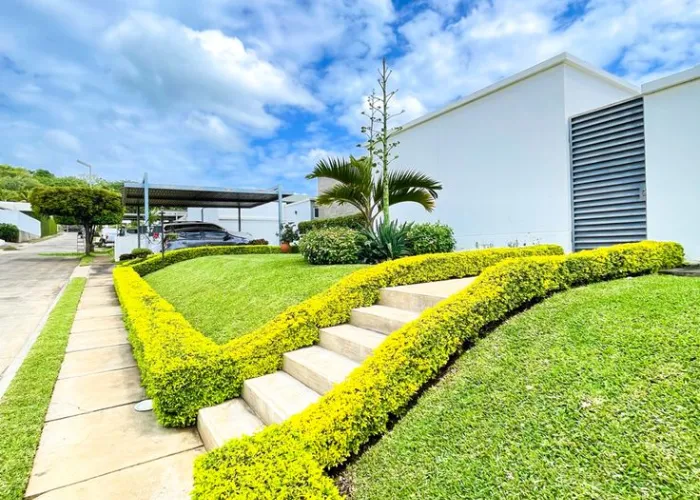 Cây Chuỗi Ngọc Trồng Viền