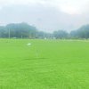 co paspalum