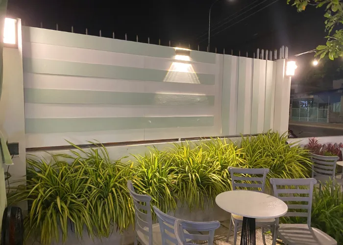 Cây Dứa Sọc Vàng