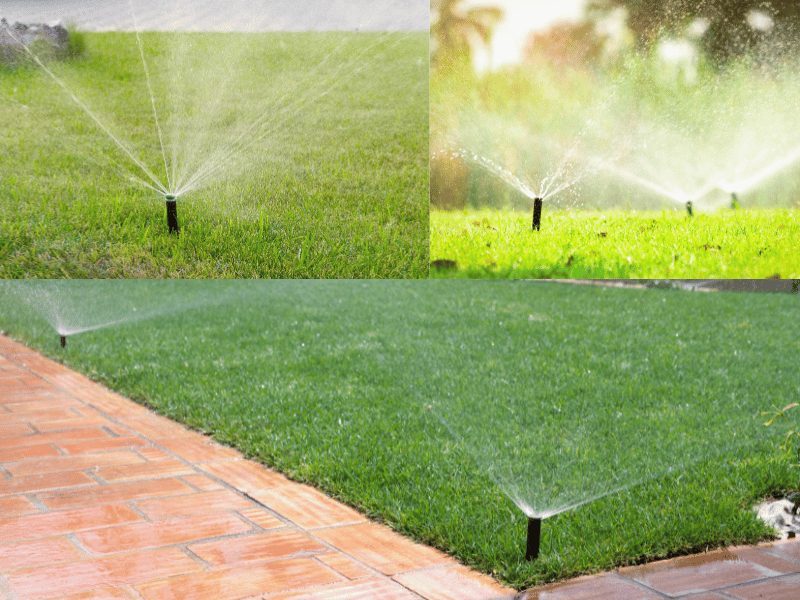 hệ thống tưới tự động