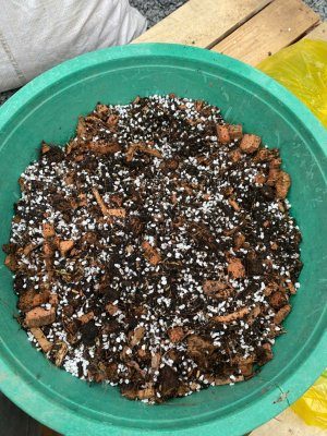 Giá thể trồng cây