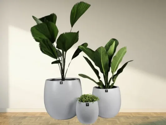 20 Mẫu Chậu Composite Đẹp Cho Sân Vườn