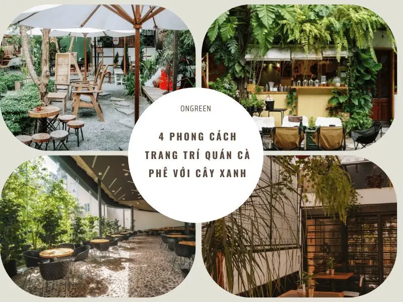 4 Phong Cách Trang Trí Quán Cafe Với Cây Xanh Xu Hướng