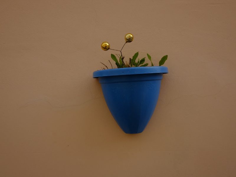 chậu nhựa ốp tường