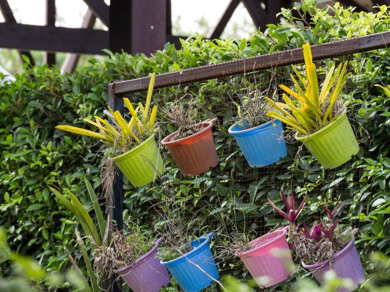 chậu nhựa treo ban công