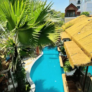 trồng cây kè bạc