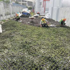 OnGreen Thi Công Trồng Cỏ Gạch Lỗ Cho Bãi Đỗ Xe, Lối Đi – Thi Công Nhanh, Giá Tốt