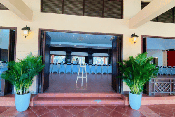 Cung Cấp Cây Cảnh Trang Trí Sự Kiện