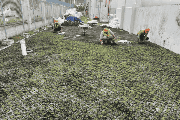 OnGreen Thi Công Trồng Cỏ Gạch Lỗ Cho Bãi Đỗ Xe, Lối Đi – Thi Công Nhanh, Giá Tốt