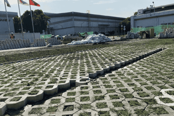 OnGreen Thi Công Trồng Cỏ Gạch Lỗ Cho Bãi Đỗ Xe, Lối Đi – Thi Công Nhanh, Giá Tốt