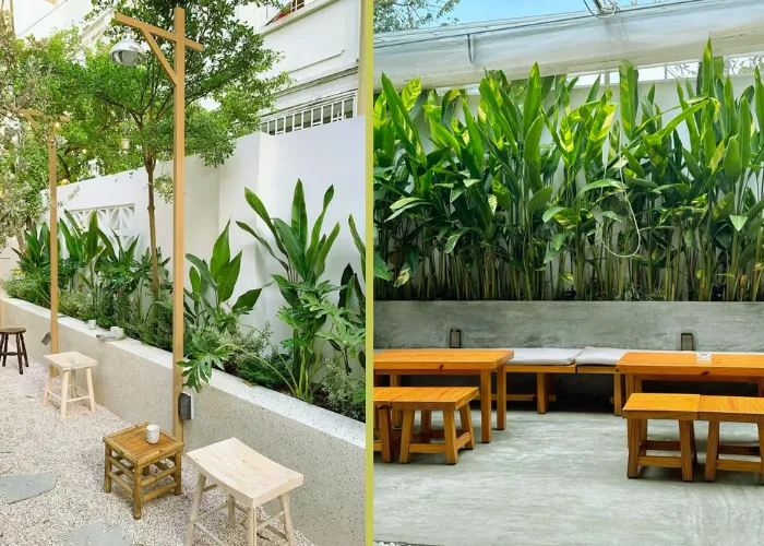 3 Mẫu Cảnh Quan Dùng Chuối Mỏ Két Làm Điểm Nhấn Mà Bạn Có Thể Áp Dụng Ngay