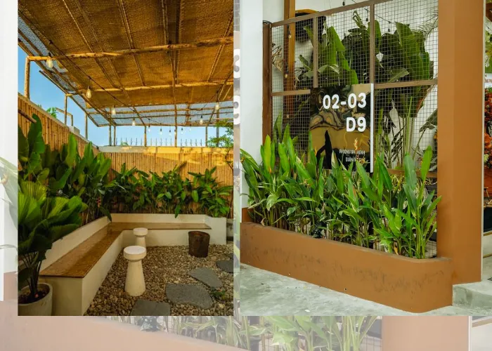 3 Mẫu Cảnh Quan Dùng Chuối Mỏ Két Làm Điểm Nhấn Mà Bạn Có Thể Áp Dụng Ngay