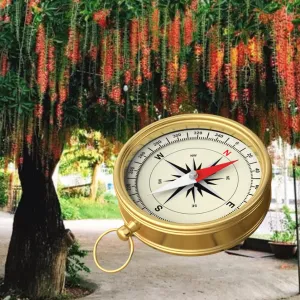 Trồng Cây Lộc Vừng trước nhà phù hợp 4 hướng Đông, Tây, Nam, Bắc