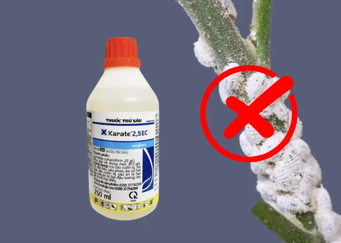 Cây Cảnh Bị Rệp Trắng – Cách Nhận Biết Và 5 Cách Xử Lý Nhanh Gọn Tại Nhà