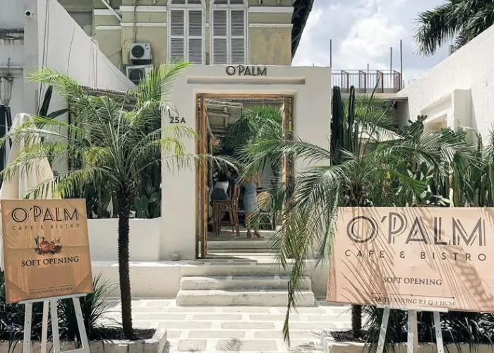 Gợi Ý Cây Trang Trí Cho Quán Cafe Mang Hơi Thở Địa Trung Hải