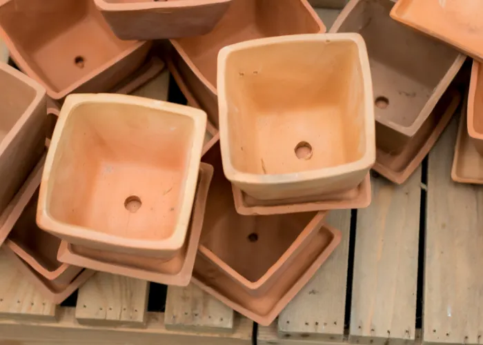 Mẹo thoát nước nhanh cho chậu cây trong mùa mưa kéo dài