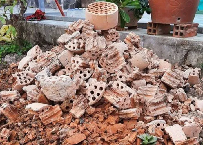 Mẹo thoát nước nhanh cho chậu cây trong mùa mưa kéo dài