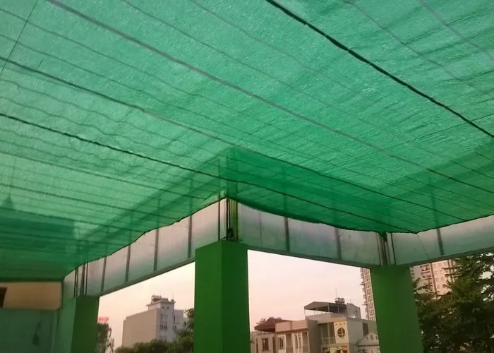 Mẹo thoát nước nhanh cho chậu cây trong mùa mưa kéo dài