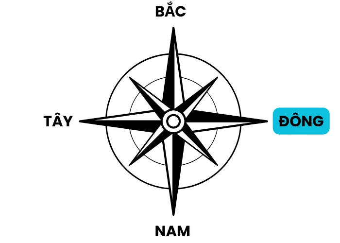 Trồng Cây Lộc Vừng trước nhà phù hợp 4 hướng Đông, Tây, Nam, Bắc 2 Trồng Cây Lộc Vừng trước nhà phù hợp 4 hướng Đông, Tây, Nam, Bắc