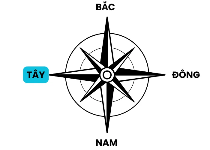 Trồng Cây Lộc Vừng trước nhà phù hợp 4 hướng Đông, Tây, Nam, Bắc 3 Trồng Cây Lộc Vừng trước nhà phù hợp 4 hướng Đông, Tây, Nam, Bắc
