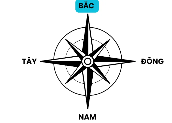 Trồng Cây Lộc Vừng trước nhà phù hợp 4 hướng Đông, Tây, Nam, Bắc 5 Trồng Cây Lộc Vừng trước nhà phù hợp 4 hướng Đông, Tây, Nam, Bắc