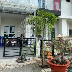 Cây Lộc Vừng Trồng Trước Nhà – Vừa Bóng Mát, Vừa Mang Lại Tài Lộc