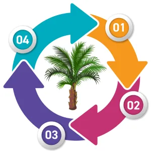 Quy Trình Thi Công Cảnh Quan Với Cây Chà Là
