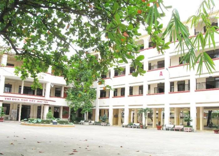 Cây Bóng Mát Cho Sân Trường – Gợi Ý 5 Loại Bền, Tán Đẹp, Ít Rụng Lá