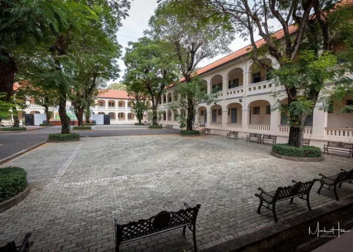 Cây Bóng Mát Cho Sân Trường – Gợi Ý 5 Loại Bền, Tán Đẹp, Ít Rụng Lá