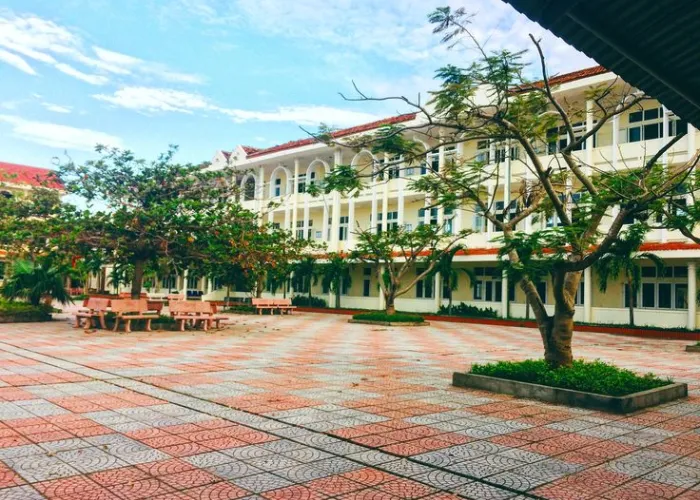 Cây Bóng Mát Cho Sân Trường – Gợi Ý 5 Loại Bền, Tán Đẹp, Ít Rụng Lá