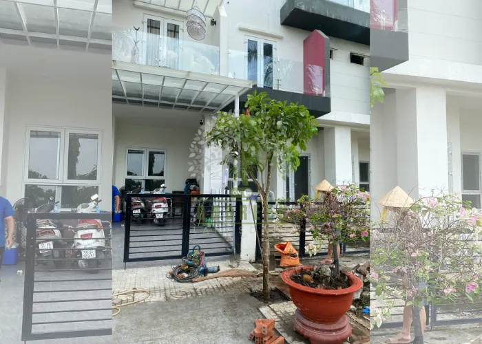 Cây Lộc Vừng Trồng Trước Nhà – Vừa Bóng Mát, Vừa Mang Lại Tài Lộc