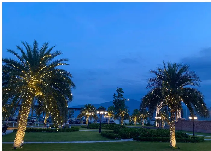 Thi Công Cảnh Quan Với Cây Chà Là – Sự Lựa Chọn Của Những Khu Resort Cao Cấp