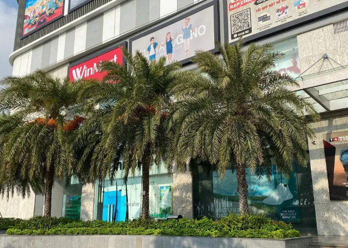 thi cong canh quan voi cay cha la su lua chon cua nhung khu resort cao cap 05