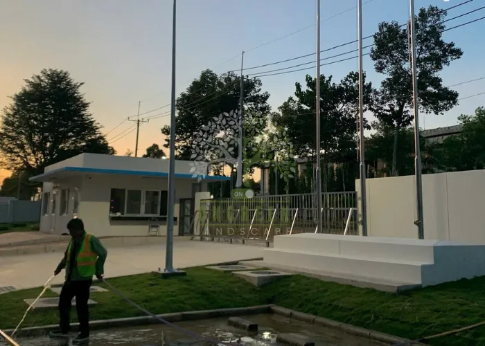 Trồng Cỏ Nhung Nhật Tại Thủ Đức, Quận 9 Và TP.HCM– OnGreen Thi Công Uy Tín 8 Trồng Cỏ Nhung Nhật Tại Thủ Đức Và TP.HCM– OnGreen Thi Công Uy Tín