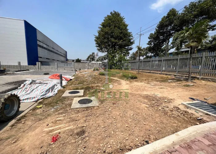 Trồng Cỏ Nhung Nhật Tại Thủ Đức, Quận 9 Và TP.HCM– OnGreen Thi Công Uy Tín 5 Trồng Cỏ Nhung Nhật Tại Thủ Đức Và TP.HCM– OnGreen Thi Công Uy Tín