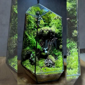 Mang Cả Khu Rừng Vào Bình Thủy Tinh – Terrarium Là Gì Mà Khiến Ai Cũng Mê?