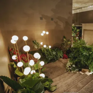 Thuê cây cảnh để trang trí triển lãm, gian hàng hội chợ