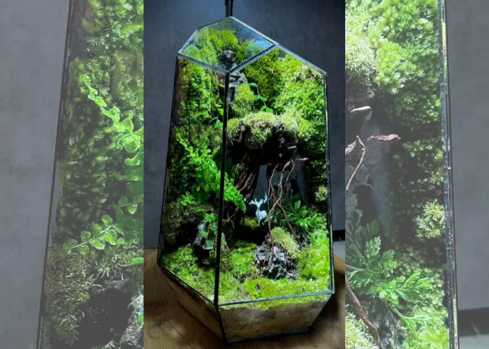 Mang Cả Khu Rừng Vào Bình Thủy Tinh – Terrarium Là Gì Mà Khiến Ai Cũng Mê?