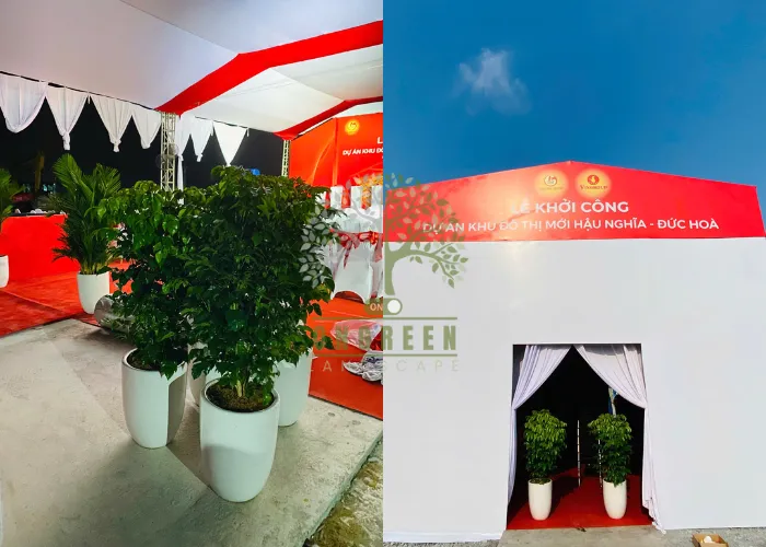 Cho Thuê Cây Xanh Trang Trí Sự Kiện- Chất Liệu Thiết Kế Tự Nhiên