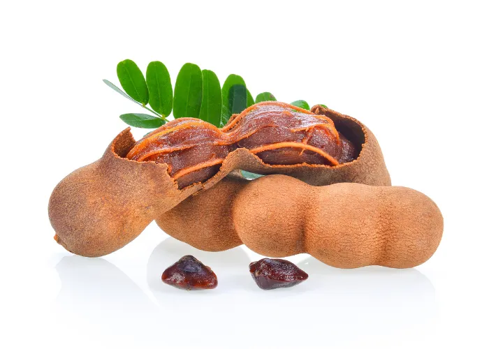 Cách Trồng Và Chăm Sóc Cây Me Chua Lấy Quả