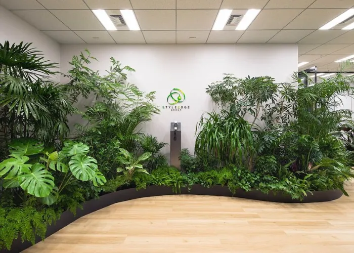 Ý Tưởng Trang Trí Cây Xanh Cho Sự Kiện Theo Concept Tropical – Nhiệt Đới Tươi Mát