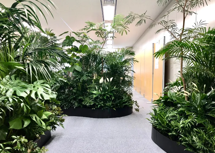 ONGREEN Cho Thuê Cây Sự Kiện – Gọn Gàng, Chuyên Nghiệp, Như Bạn Mong Muốn