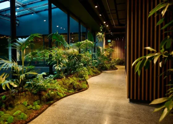 Sự Kiện Mang Hơi Thở Thiên Nhiên Xu Hướng 2025 – Cây Xanh Là Chất Kết Nối
