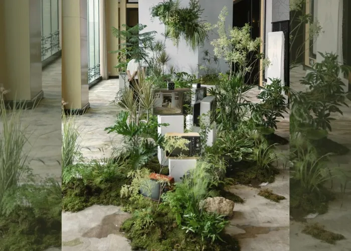 Ra mắt sản phẩm: Trang trí cây theo concept thương hiệu (tropical, rustic, tối giản...) 8 Ra mắt sản phẩm: Trang trí cây theo concept thương hiệu (tropical, rustic, tối giản...)