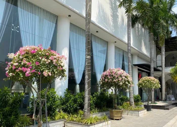 Trang Trí Cổng Bằng Chậu Hoa Giấy Đẹp – Đơn Giản Mà Thu Hút 3 Trang Trí Cổng Bằng Chậu Hoa Giấy Đẹp – Đơn Giản Mà Thu Hút