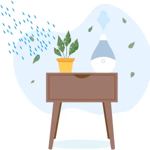 5 loại cây cảnh để bàn giúp tập trung làm việc và giảm stress