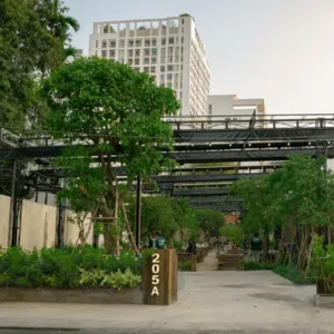 Khi Nào Nên Nhờ Đơn Vị Trồng Cây Lộc Vừng?