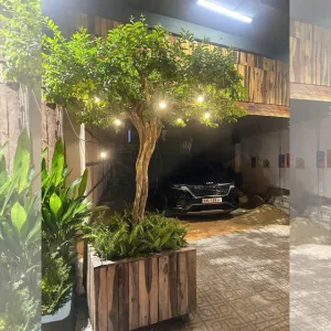 Vì Sao Nhiều Quán Ngoài Trời Lựa Chọn Cây Sơ Ri Để Trang Trí 2025?